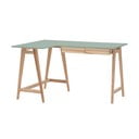 Darbo stalas 85x135 cm Luka - Ragaba