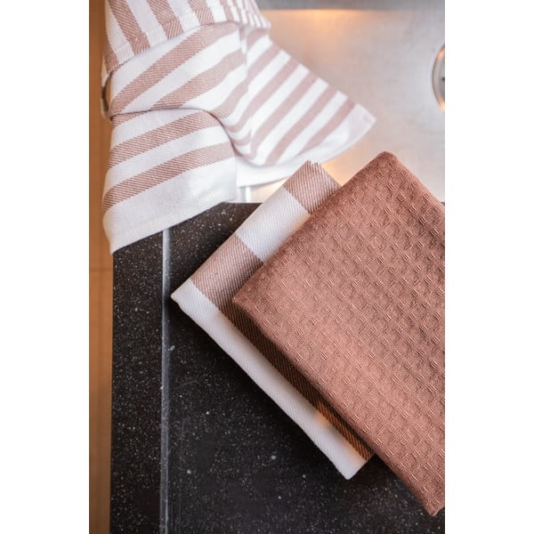 Iš medvilnės virtuvės rankšluosčiai 3 vnt. 51x74 cm Marra – Tiseco Home Studio-image-2