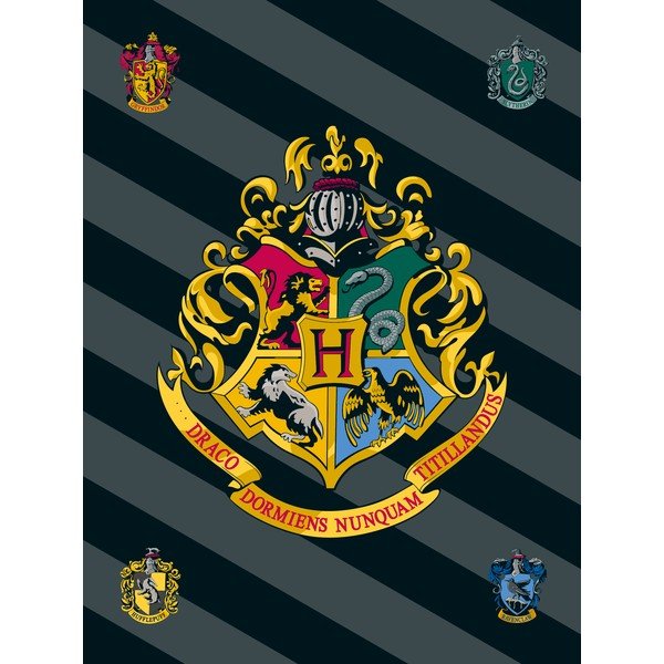 Vaikiškas pledas fleece tipo 100x150 cm Harry Potter – Jerry Fabrics