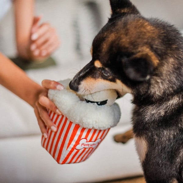 Žaislas šuniui Popcorn - P.L.A.Y.-image-1