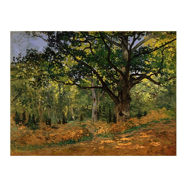 Claude Monet reprodukcija The Bodmer Oak, Fontainebleau Forest 70 x 50 cm