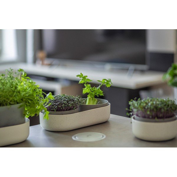 Iš plastiko daiginimo konteineris Microgreens + Regrow – Plastia-image-2