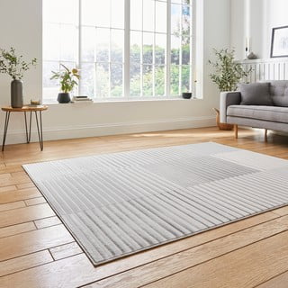Pilkas/smėlio spalvos kilimas 220x160 cm Apollo - Think Rugs