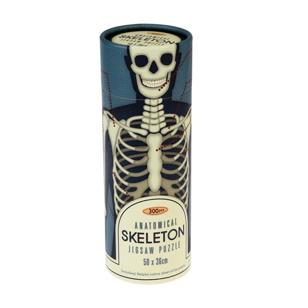 Dėlionė vamzdyje Rex London Anatominis skeletas