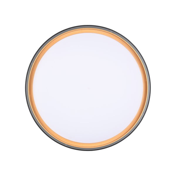 Lubinis šviestuvas juodos spalvos LED ø 40 cm Felis – Reality-image-4