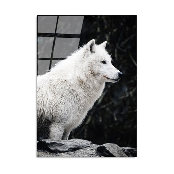 Paveikslas ant stiklo 70x100 cm White Wolf - Wallity