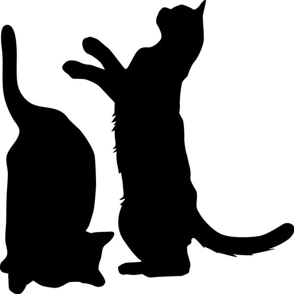 2 "Ambiance Cute Cats" lipdukų rinkinys-image-1