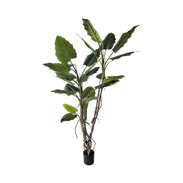 Dirbtinė gėlė (aukštis 190 cm) Alocasia – Bizzotto