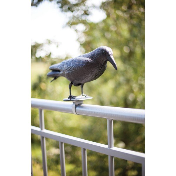 Iš plastiko kaliausė Crow – Esschert Design-image-2