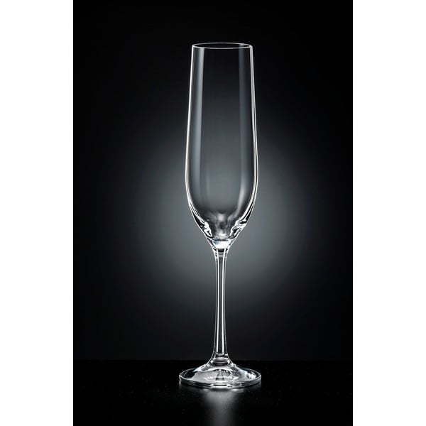 6 šampano taurių rinkinys Crystalex Viola, 190 ml-image-1