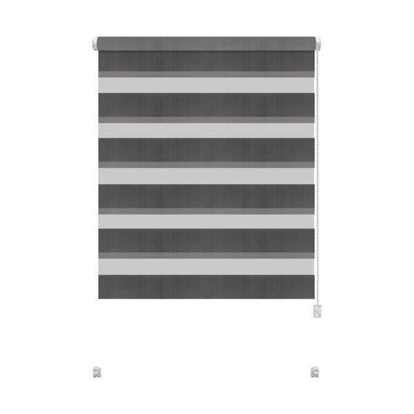 Tamsiai pilkos spalvos diena ir naktis roletai 97x150 cm Zebra – Gardinia