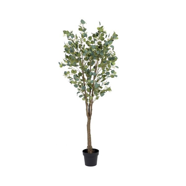 Dirbtinis eukaliptas (aukštis 173 cm) Eucalyptus – Ixia