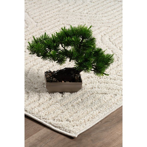 Skalbiamas kreminės spalvos kilimas 150x230 cm Loopy – Mila Home-image-2