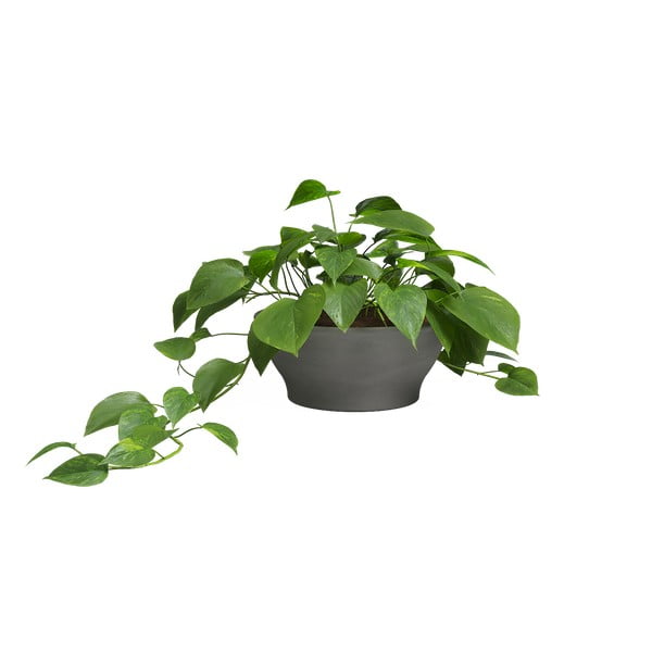 Vazonas iš terakotos ø 23 cm Saramago – Artevasi-image-1