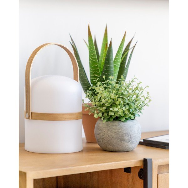 Dirbtinis eukaliptas vazone Kave Home-image-2