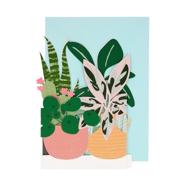Atvirukas Potted Plant – Meri Meri-image-1