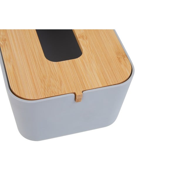 Nosinių dėžutė iš plastiko Canyon – Premier Housewares-image-1