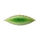 Iš molio padėklas 6x18 cm Riviera – Costa Nova