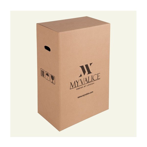 Rožinis kelioninis lagaminas ant ratukų su USB jungtimi My Valice COLORS RESSNO Pilot Suitcase-image-2