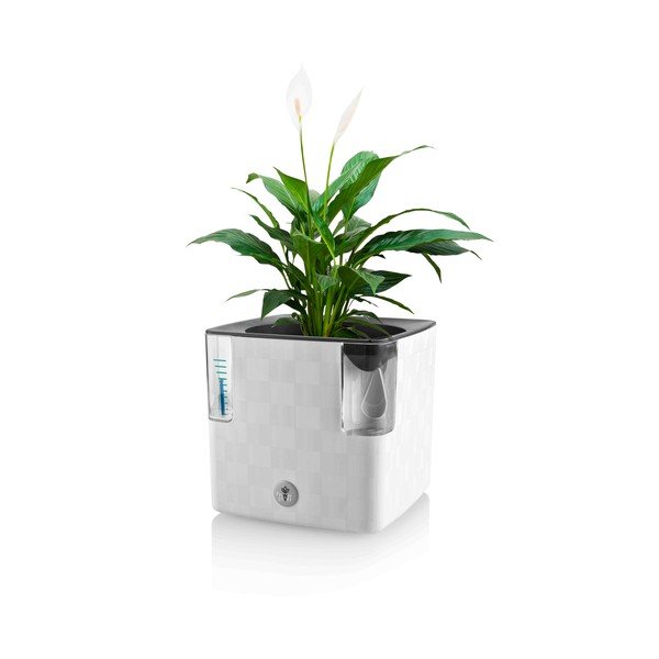 Iš plastiko vazonas žolelėms/su savaiminio laistymo funkcija Cobble – Flower Lover-image-2