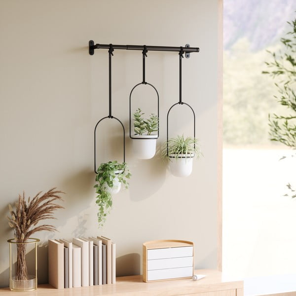 Iš plastiko gėlių vazonų dangteliai 3 vnt. žolelėms/pakabinami ir sieniniai ø 7,5 cm Triflora – Umbra-image-3