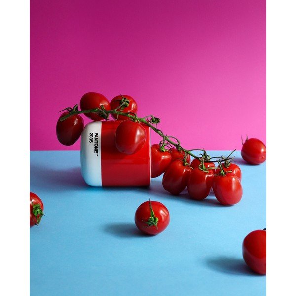 Raudonos spalvos iš porceliano puodelis kapučino 175 ml Red 2035 – Pantone-image-1