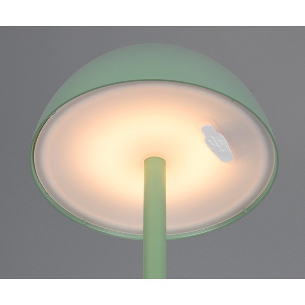 Lauko šviestuvas su pritemdymo funkcija ø 13,5 cm Ricardo – Reality-image-1