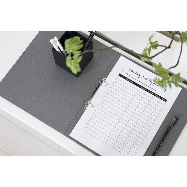 Biuro organizatorius dokumentams iš kartono Ringo – Bigso Box of Sweden-image-3