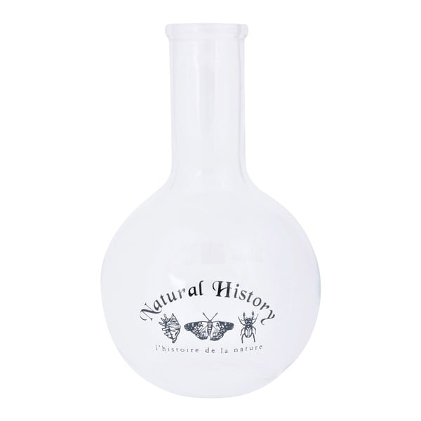 Iš stiklo  vaza (aukštis 23 cm) Natural History – Esschert Design