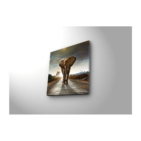 Iliuminuotas paveikslas "Dramblys", 28 x 28 cm