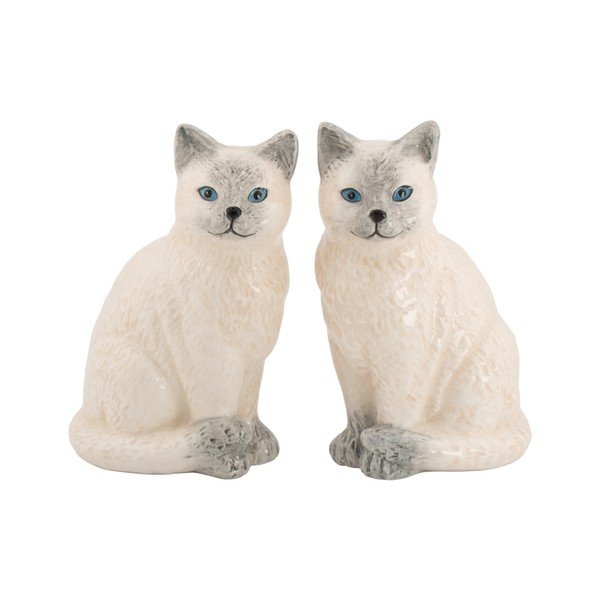 Druskinė ir pipirinė Ragdoll Cat – Sass & Belle
