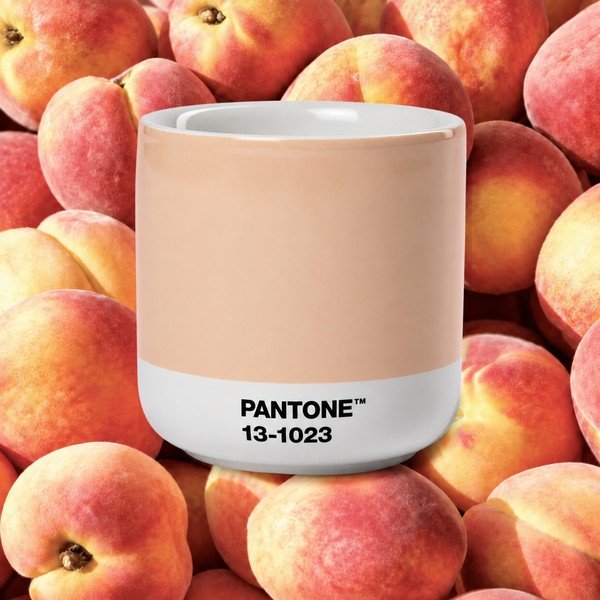 Oranžinės spalvos iš porceliano puodelis kapučino 175 ml Peach Fuzz 13-1023 – Pantone-image-1