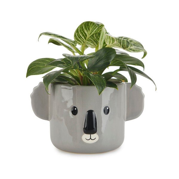 Vazonas iš keramikos ø 13,5 cm Koala – Balvi-image-1