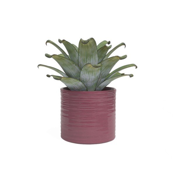 Iš keramikos rankų darbo gėlių vazono dangtelis ø 25 cm Fortuna – Artevasi