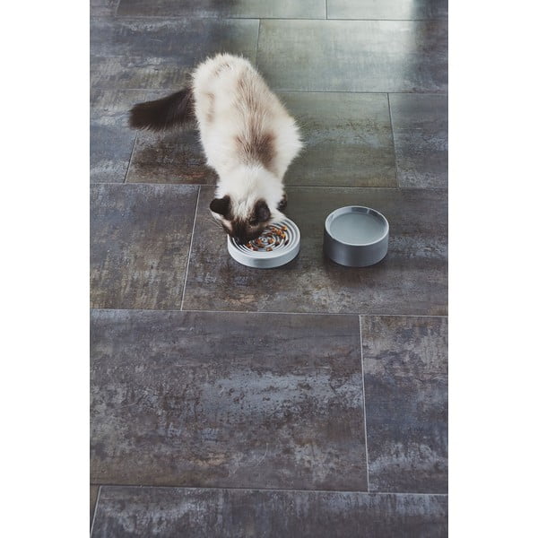 Iš porceliano augintinių dubuo katei ø 14 cm Fresco Concrete S – MiaCara-image-4