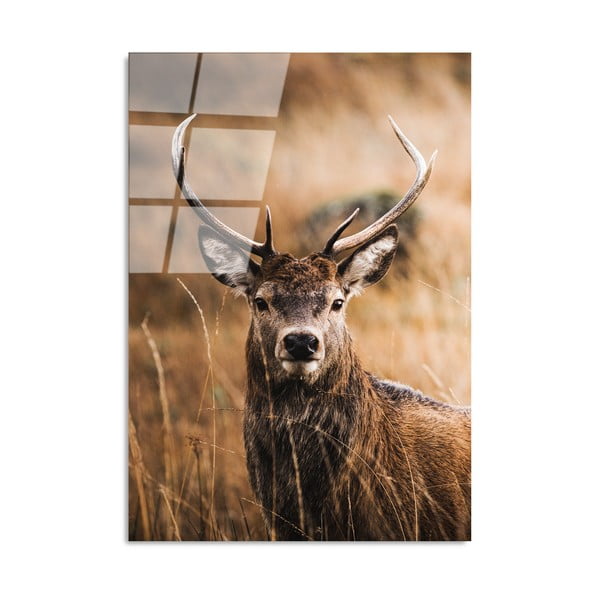 Paveikslas ant stiklo 70x100 cm Deer - Wallity