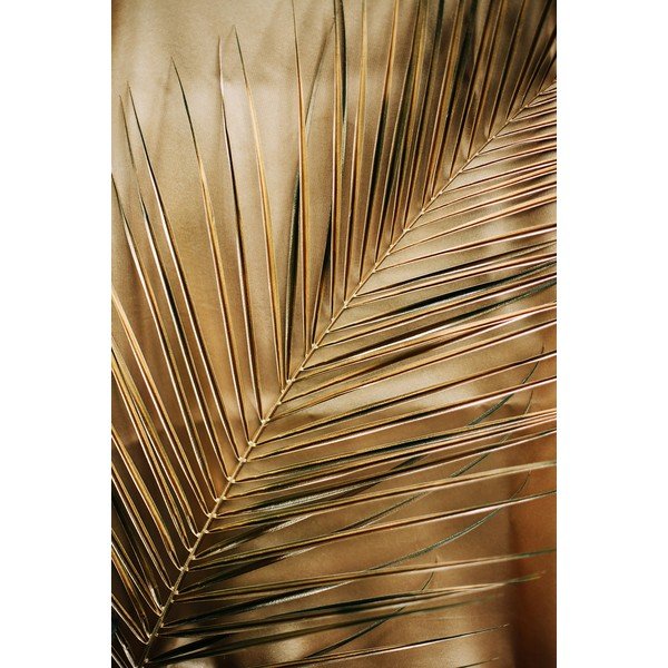 Spausdintas paveikslas iš stiklo 80x120 cm Gold Palm  – Styler