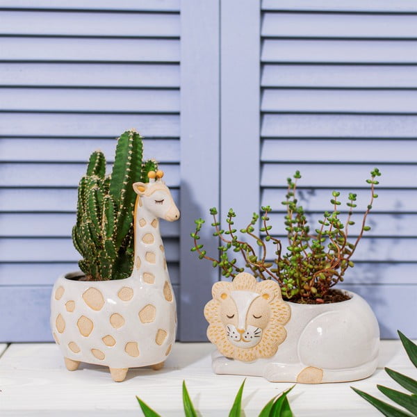 Baltos ir smėlio spalvos vazonas Sass & Belle Leo Lion, ø 7 cm-image-1