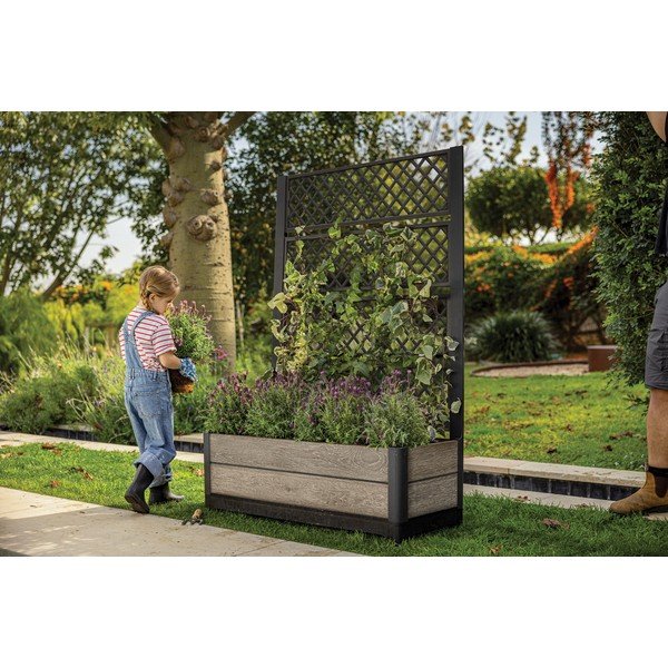 Pakelta sodo lysvė Deco – Keter-image-1