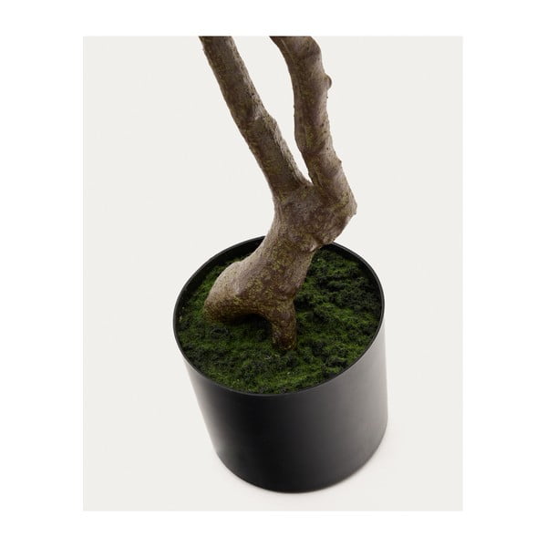Dirbtinis augalas (aukštis 180 cm) Pachira – Kave Home-image-3