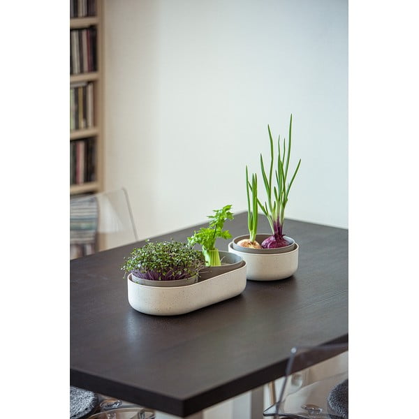 Daiginimo padėklų rinkinys Velká farma Microgreens & Regrow - Plastia-image-1