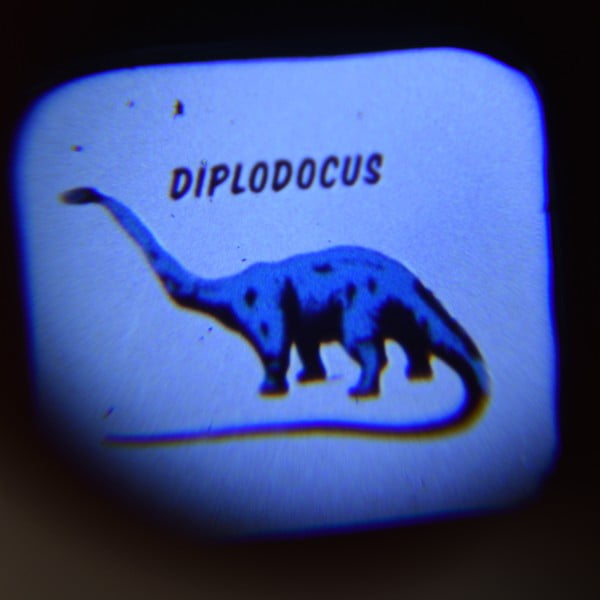 Vaikiškas kišeninis projektorius su dinozaurais Rex London, 16 paveikslėlių-image-1