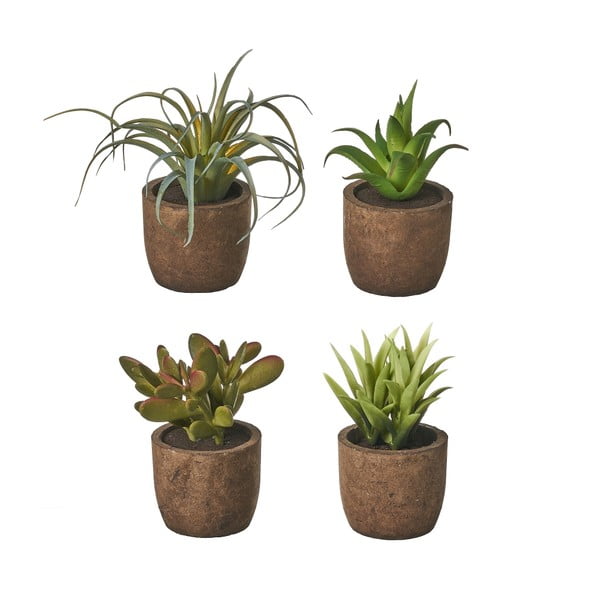 Dirbtiniai augalai 4 vnt. (aukštis 10 cm) Cactus – Casa Selección