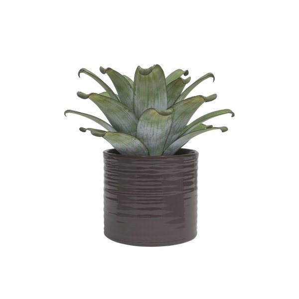 Iš keramikos rankų darbo gėlių vazono dangtelis ø 18 cm Fortuna – Artevasi