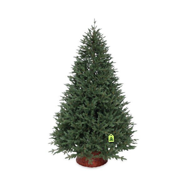 Kalėdinė eglutė aukštis 150 cm Canadian Spruce 3D – Můj Stromeček-image-2