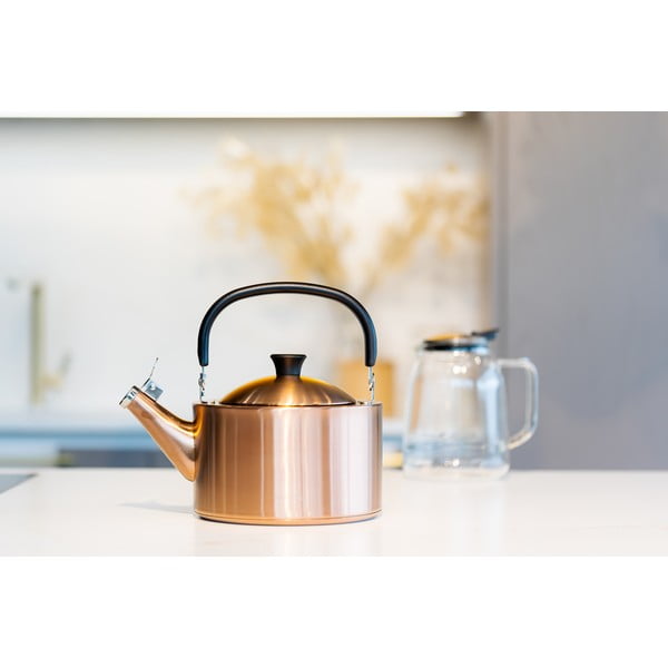 Vario spalvos iš nerūdijančio plieno virdulys 1,5 l Diamante – Vialli Design-image-4