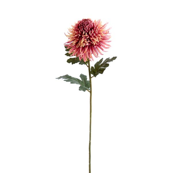 Dirbtinė gėlė (aukštis 91 cm) Chrysantheme – Light & Living