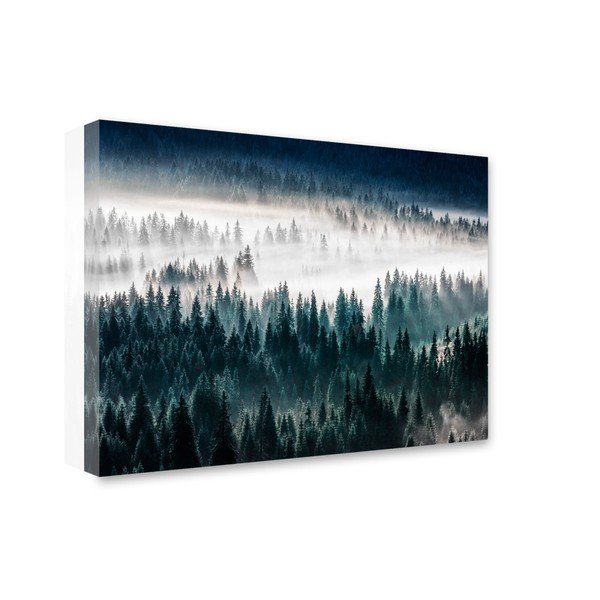 Vaizdas Styler Glasspik Misty Forest, 80 x 120 cm-image-1