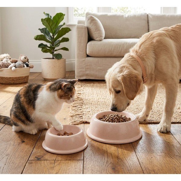 Iš molio augintinių dubuo visi augintiniai ø 16 cm – Casafina-image-1