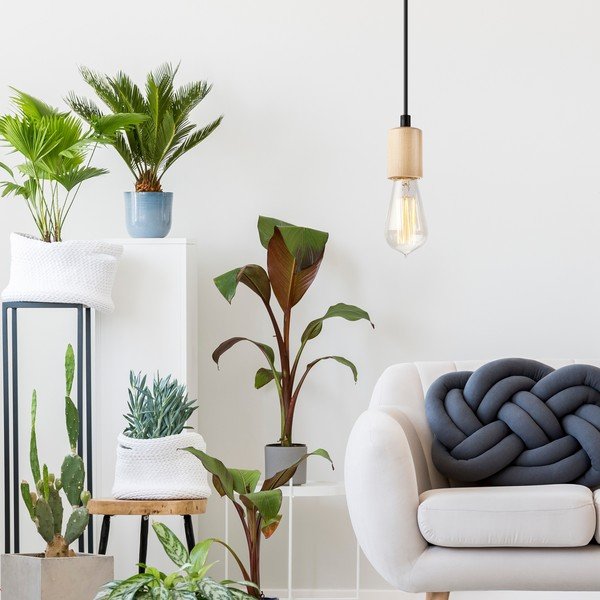 Kabantis šviestuvas natūralios spalvos Leon – LAMKUR-image-1